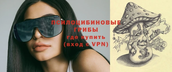 стаф Тихвин