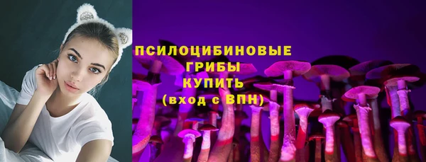 spice Алексин