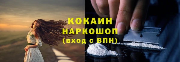 spice Алексин
