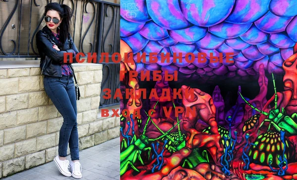 spice Алексин