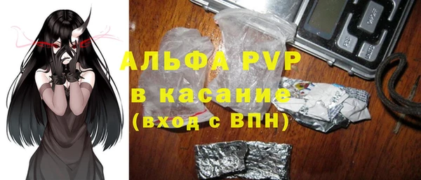 крисы Алзамай