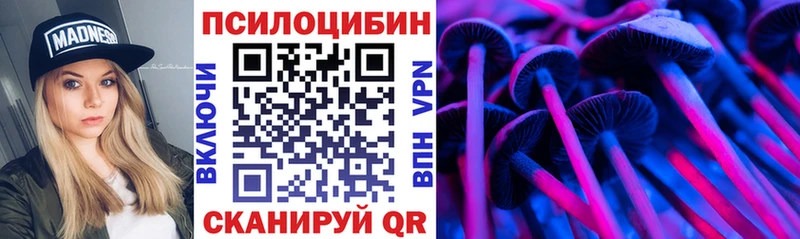 Псилоцибиновые грибы прущие грибы  Чехов 