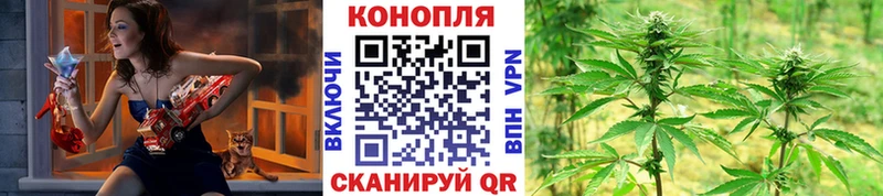 Конопля Amnesia  цена   Чехов 